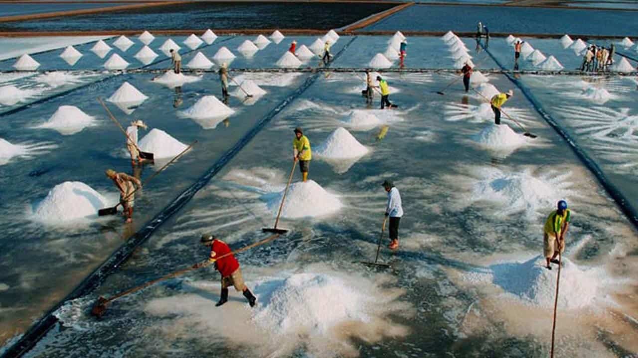 Cánh đồng muối Bạc Liêu đẹp tựa như tranh vẽ