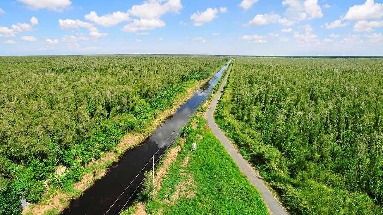 Khám phá vườn quốc gia U Minh Hạ