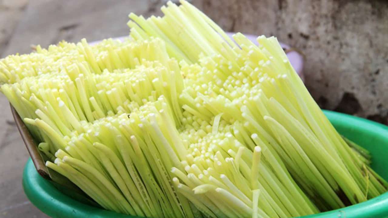Năn bộp là món ăn dân dã của miền Tây sông nước