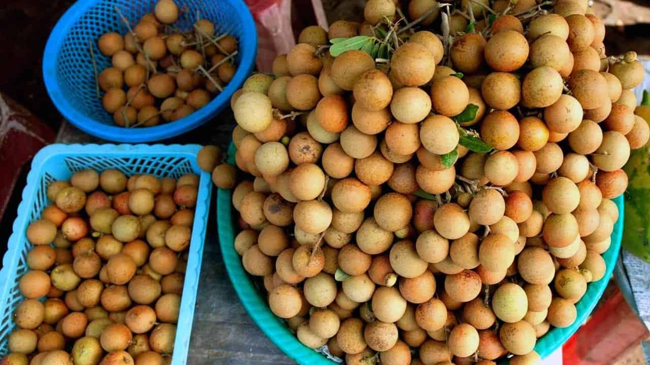 Thưởng thức đặc sản nhãn da bò Bạc Liêu