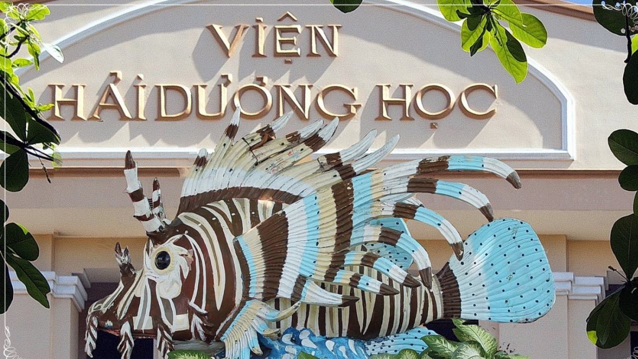 Viện Hải Dương học – Thuê xe Cần Thơ đi Nha Trang (Ảnh: Tham khảo)