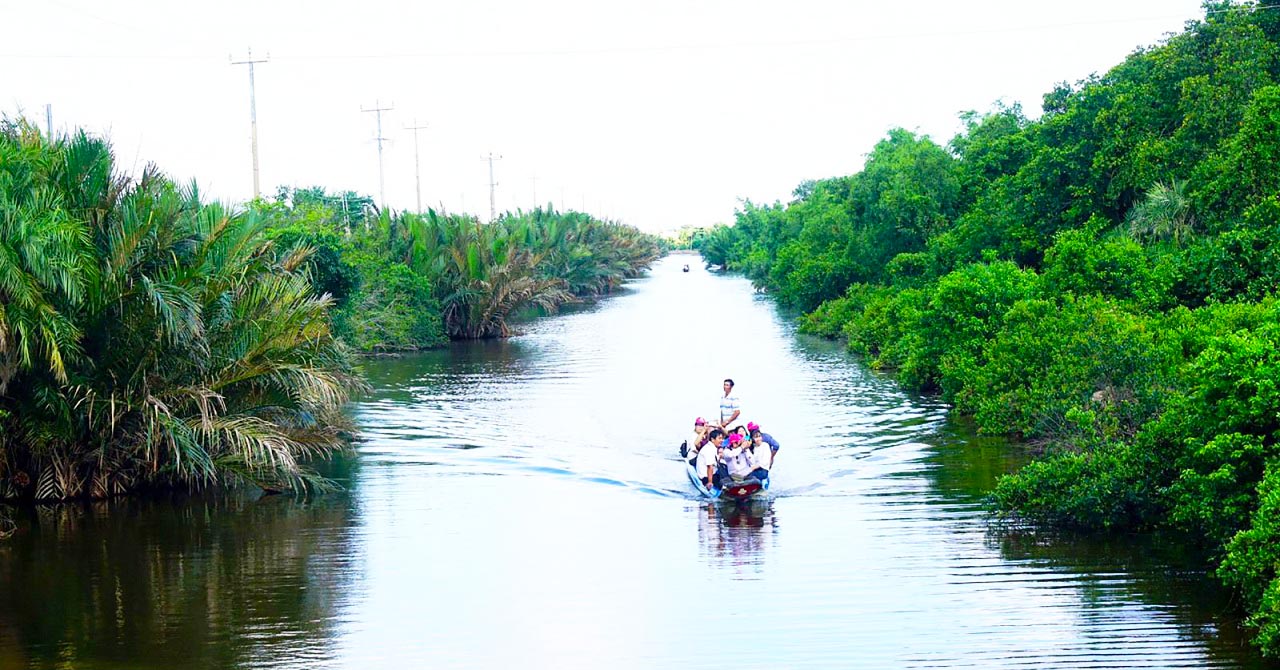 Khu sinh thái Rừng Đước – Thuê xe Cần Thơ đi Trà Vinh